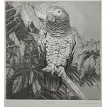 Elizabeth Butterworth (British, b.1949), Parrot (plate 18), etching, signed in pencil, artists