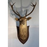 Peter Spicer & Sons mounted stag head taxidermy. Provenance: Chilham Castle, Kent