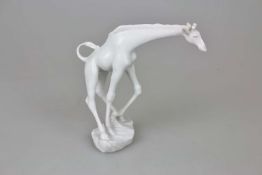 Meissen Giraffe