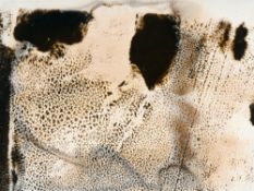 Sigmar Polke