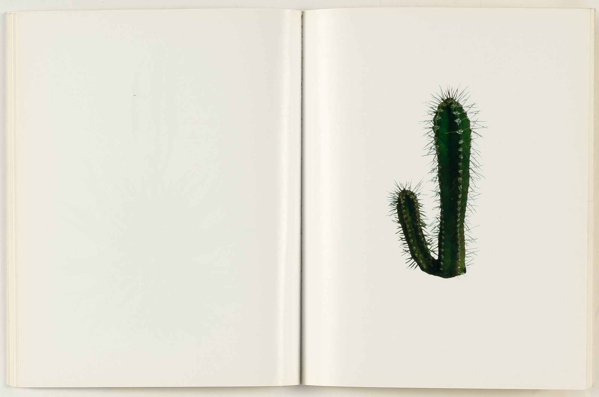 Ed Ruscha - Image 6 of 6