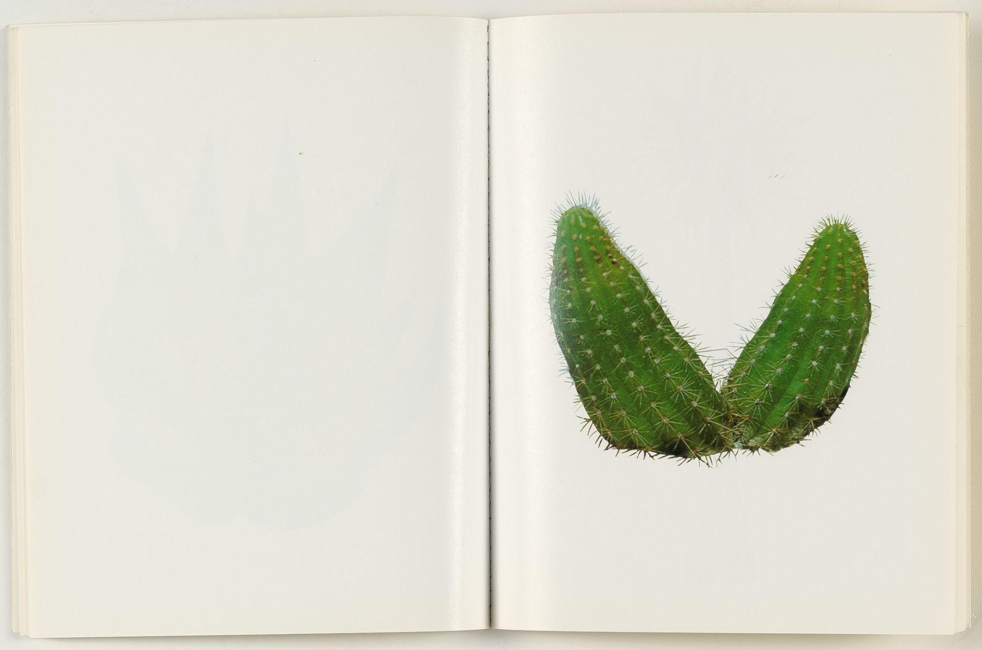 Ed Ruscha - Image 5 of 6