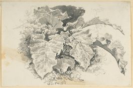Johann Georg von Dillis – 2 Bll.: Huflattich – Italienische Landschaft