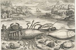 Adriaen Collaert – Piscium Vivae Icones - Eine Folge von Fischen und anderen Meerestieren (25 Bll. z
