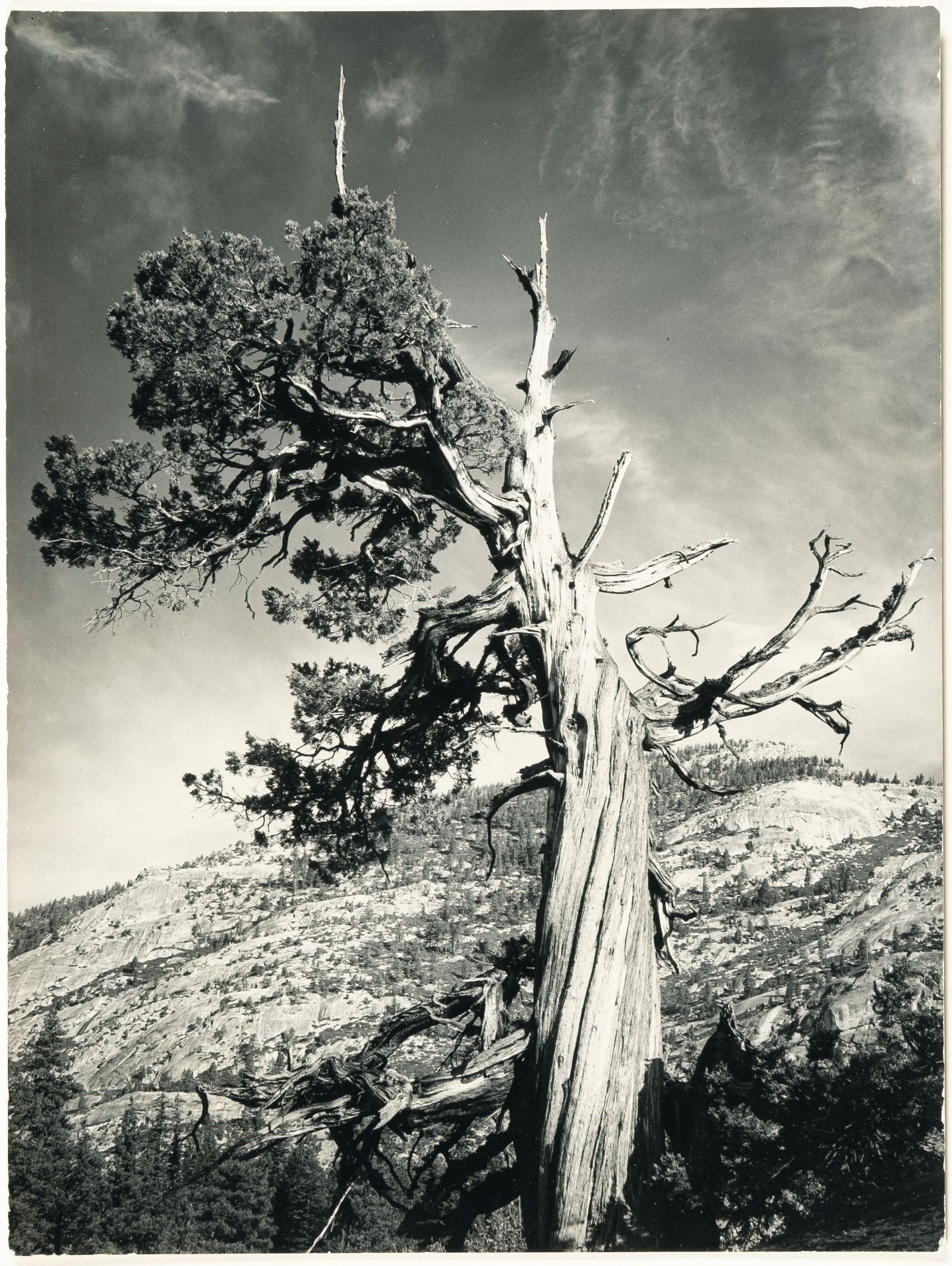 Ansel Adams, Merced Lake Country (Yosemite National Park).Vintage gelatin silver print on photo - Image 2 of 3