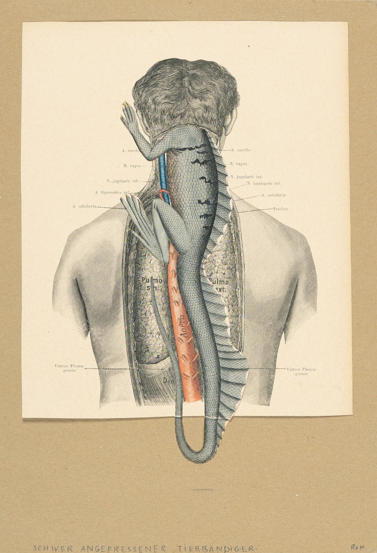 Franz Roh, „Schwer angefressener Tierbändiger“.Woodcut in colours with collage, mounted on pale