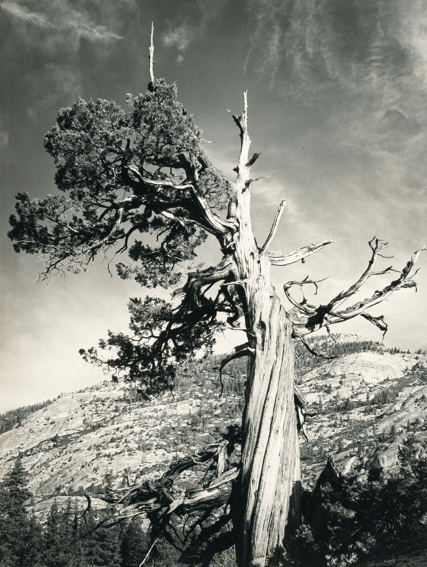 Ansel Adams, Merced Lake Country (Yosemite National Park).Vintage gelatin silver print on photo