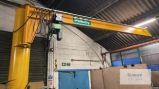 Pelloby 500KG with a Stall Drive Gantry Hoist, Serial No. 3402973