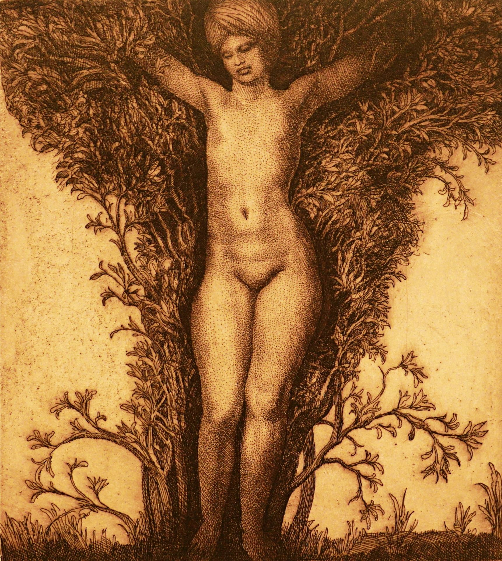 Ernst Fuchs, Kunstvolle Radierungen - Image 11 of 21