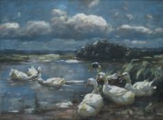 Koester, Alexander Max:  Enten im Sonnenlicht