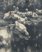 Koester, Alexander Max:  Neun Enten am Ufer