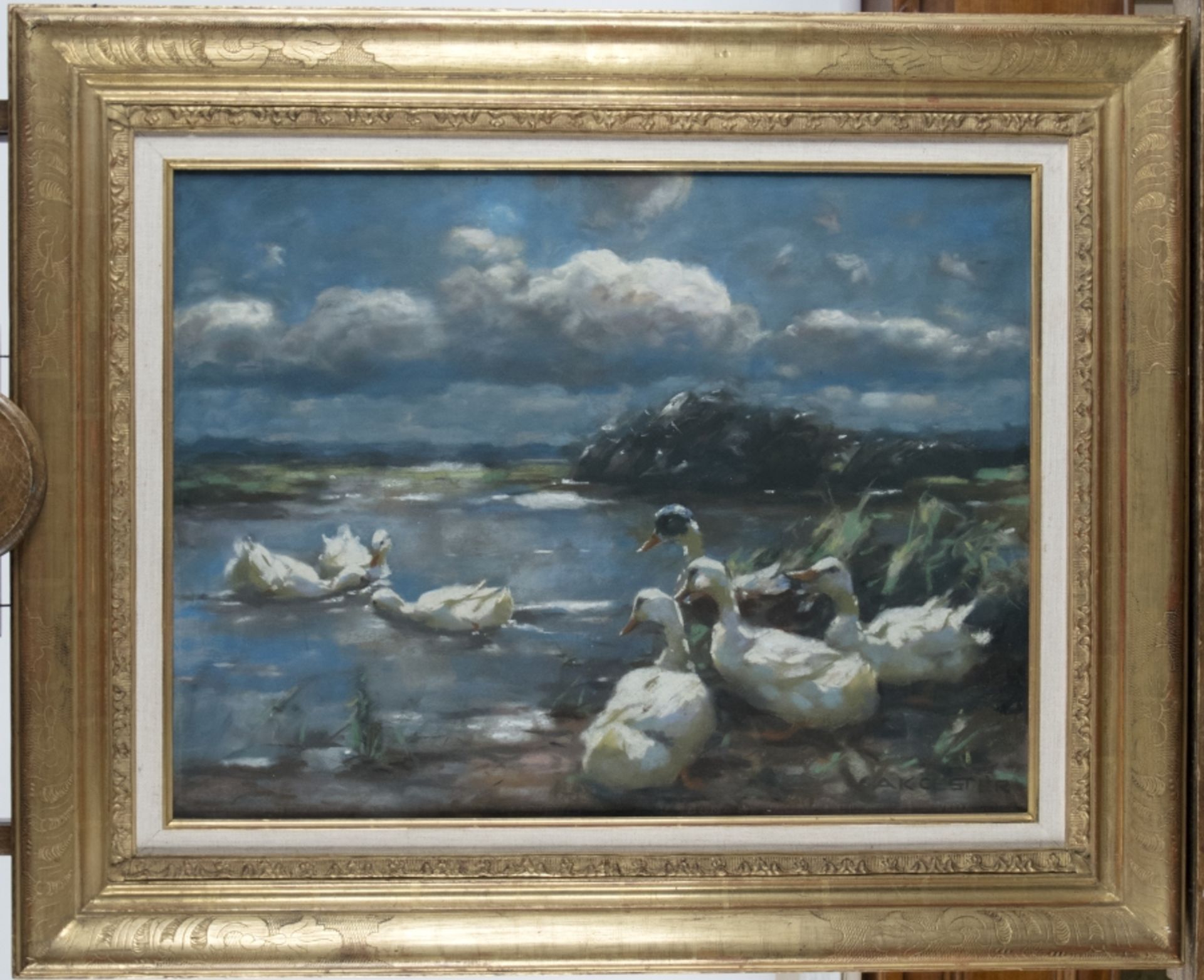 Koester, Alexander Max:  Enten im Sonnenlicht - Bild 2 aus 2