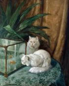 Heyer, Arthur:  Katzen am Aquarium