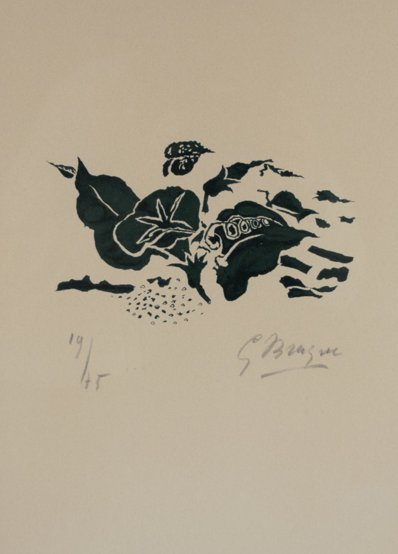 Braque, Georges: Plantes