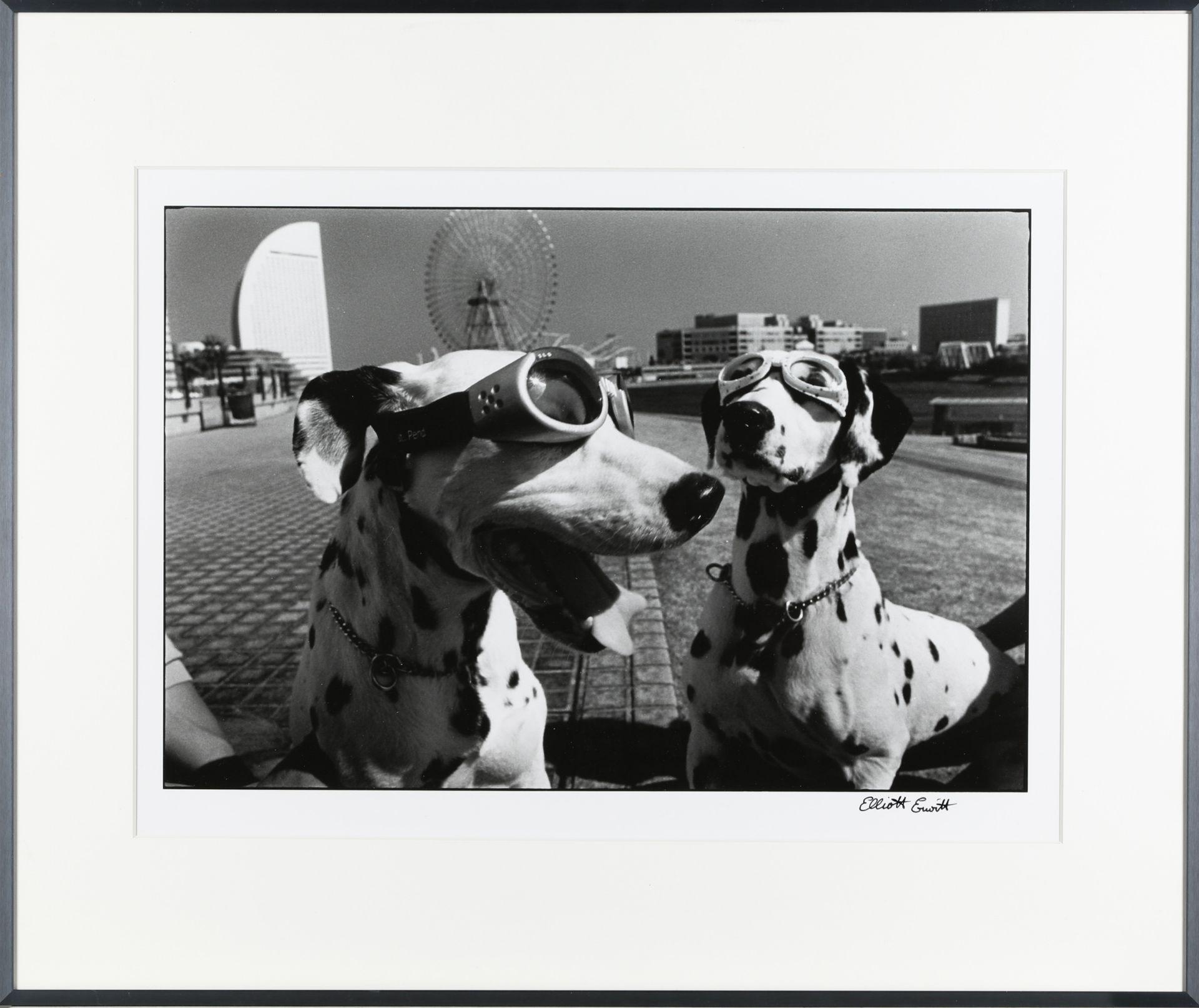 Elliot Erwitt, Yokohama Japan (two dogs in goggles), 2003, gelatin silver print - Bild 2 aus 4