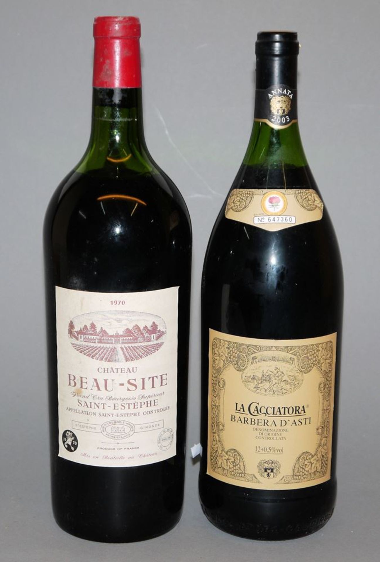 7 Flaschen Wein: 5x französischer Rotwein & 1x Barbera d'Asti & 1x Weißwein Bordeaux, gemischtes Lo