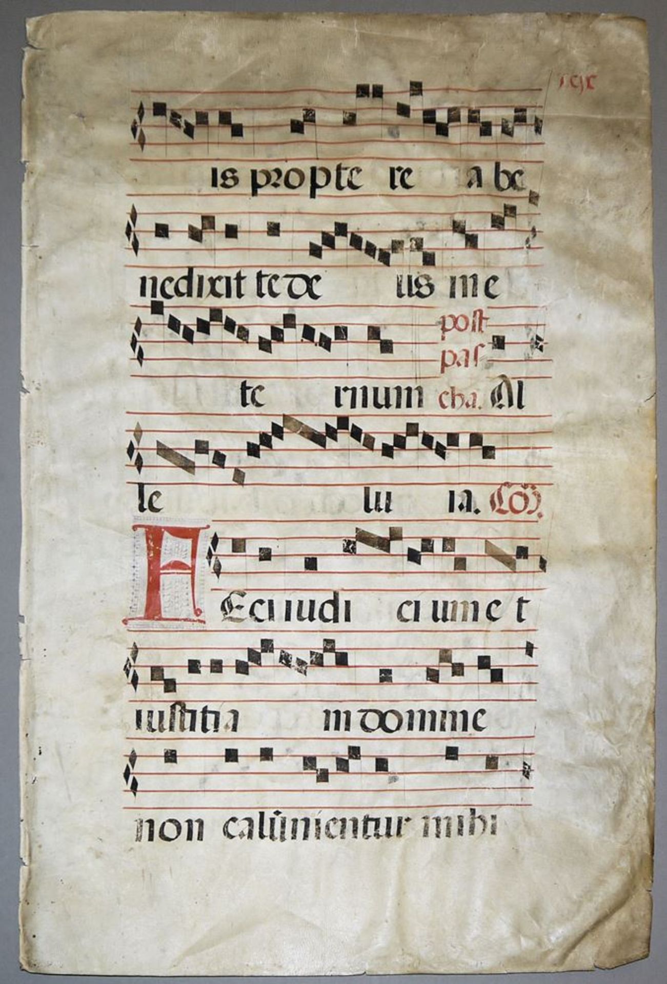 Antiphonarblatt mit Text und Noten in Rot und Schwarz auf Pergament um 1500