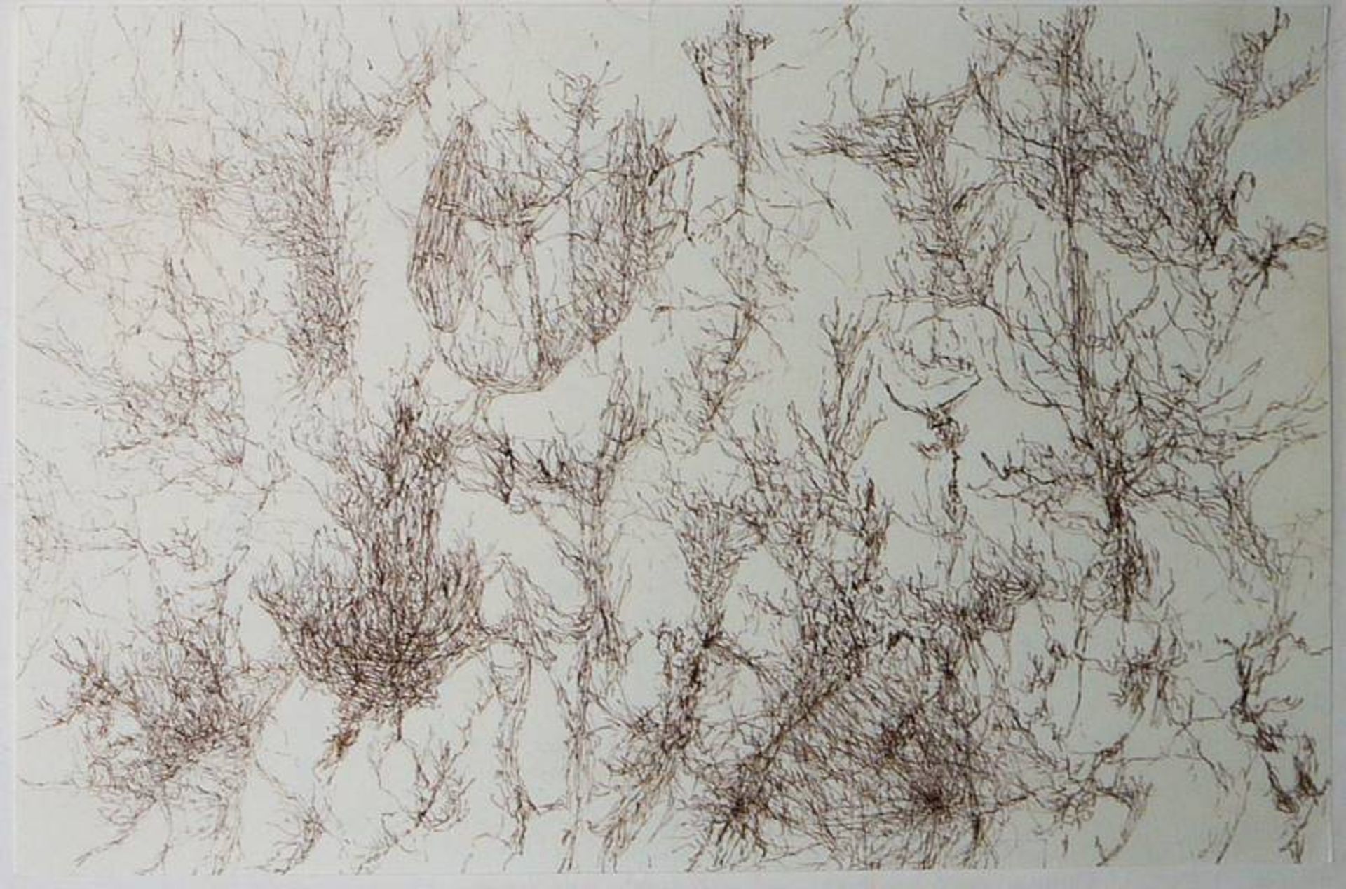 Lucie Beppler, o.T., drei abstrakte Zeichnungen von 1999-2000, "Palmen" u. o.T., zwei Aquarelle von - Bild 5 aus 6