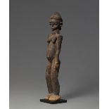 LOBI FIGURE