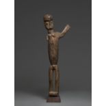 LOBI FIGURE