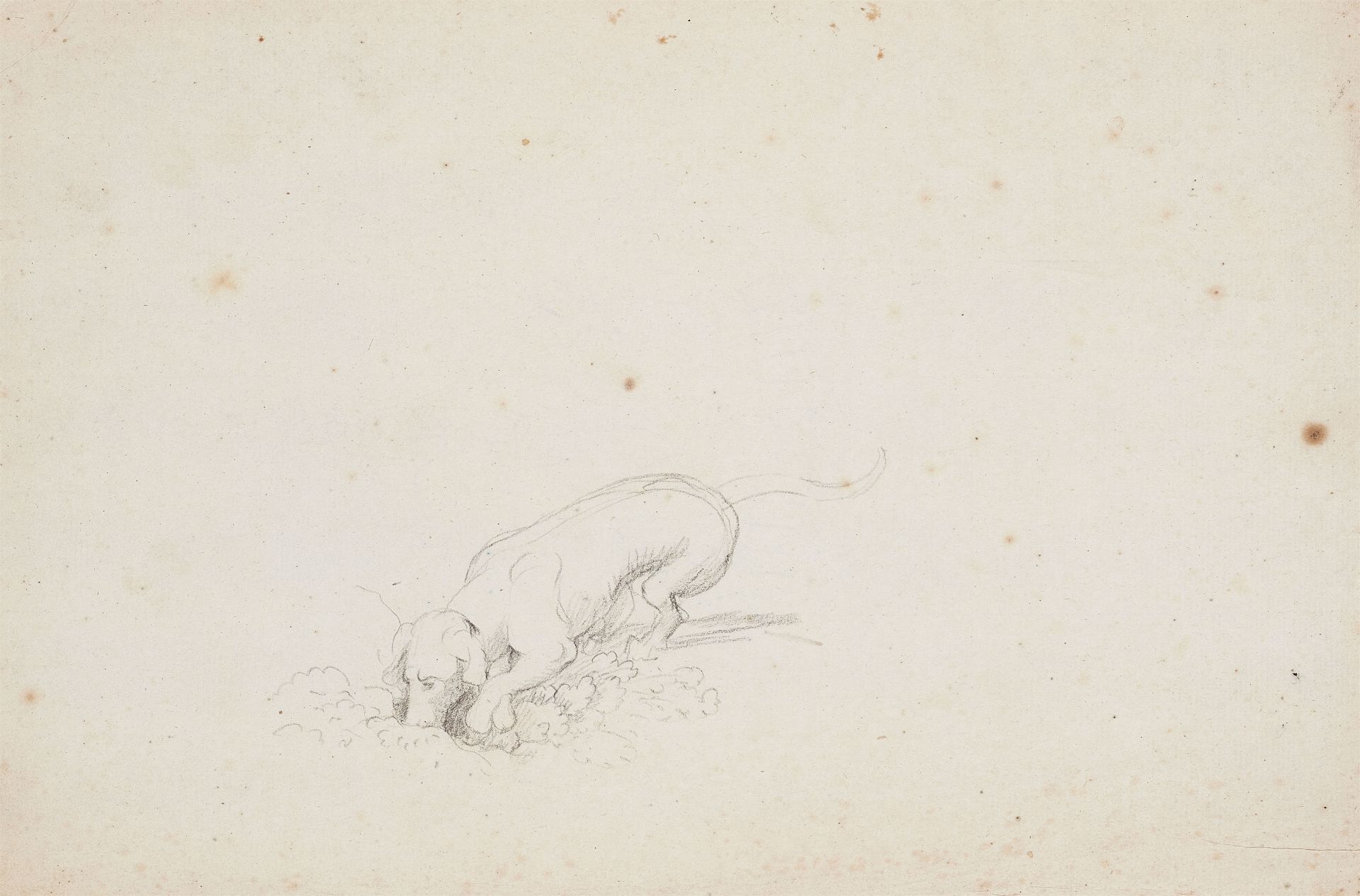 Johann Heinrich Wilhelm Tischbein, Three Dog Studies - Image 2 of 4
