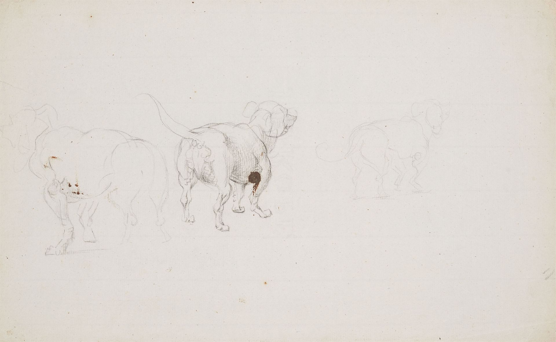 Johann Heinrich Wilhelm Tischbein, Three Dog Studies - Image 4 of 4