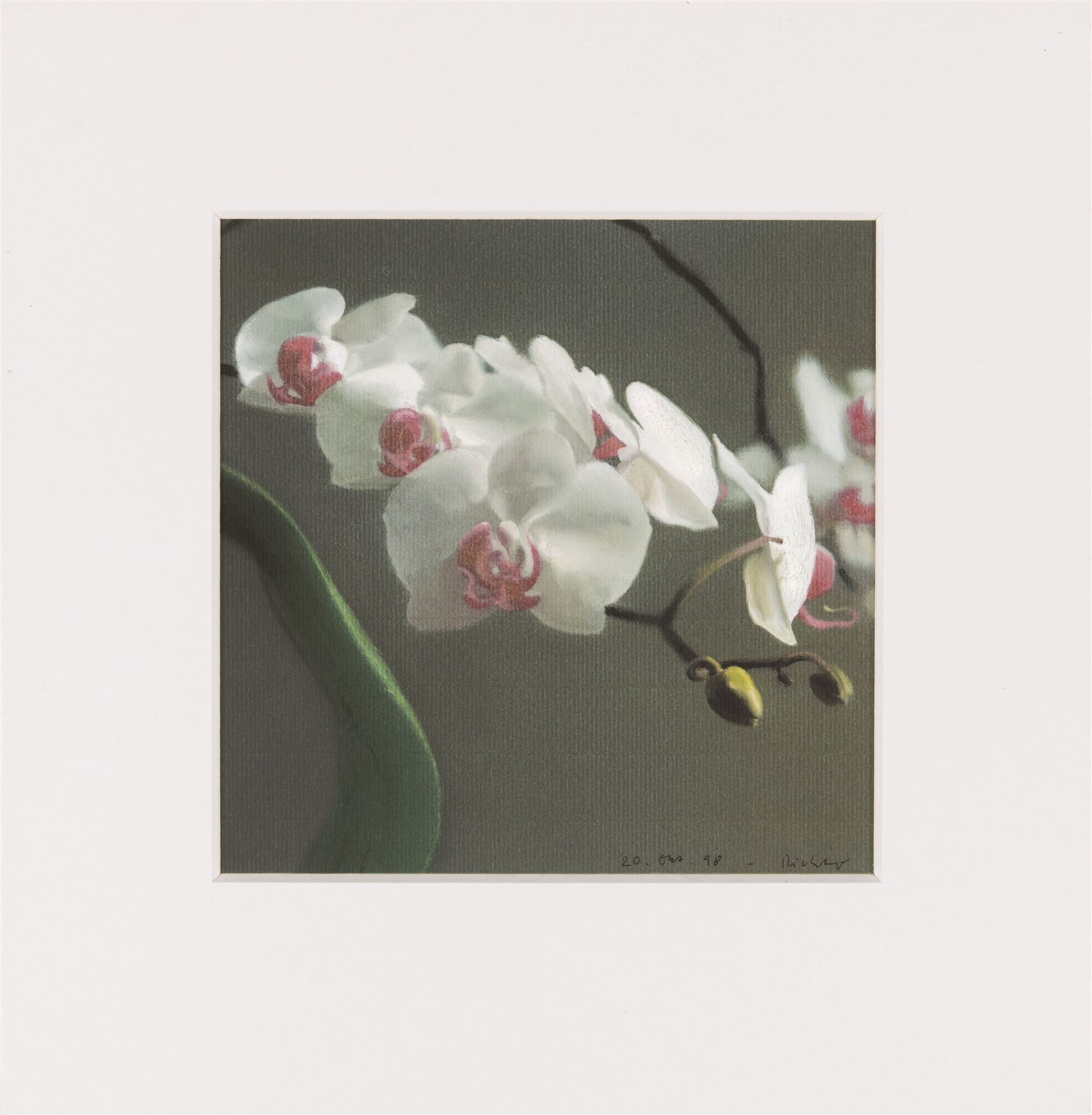 Gerhard Richter, Orchidee V