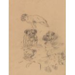 James Ensor, Etude de chiens