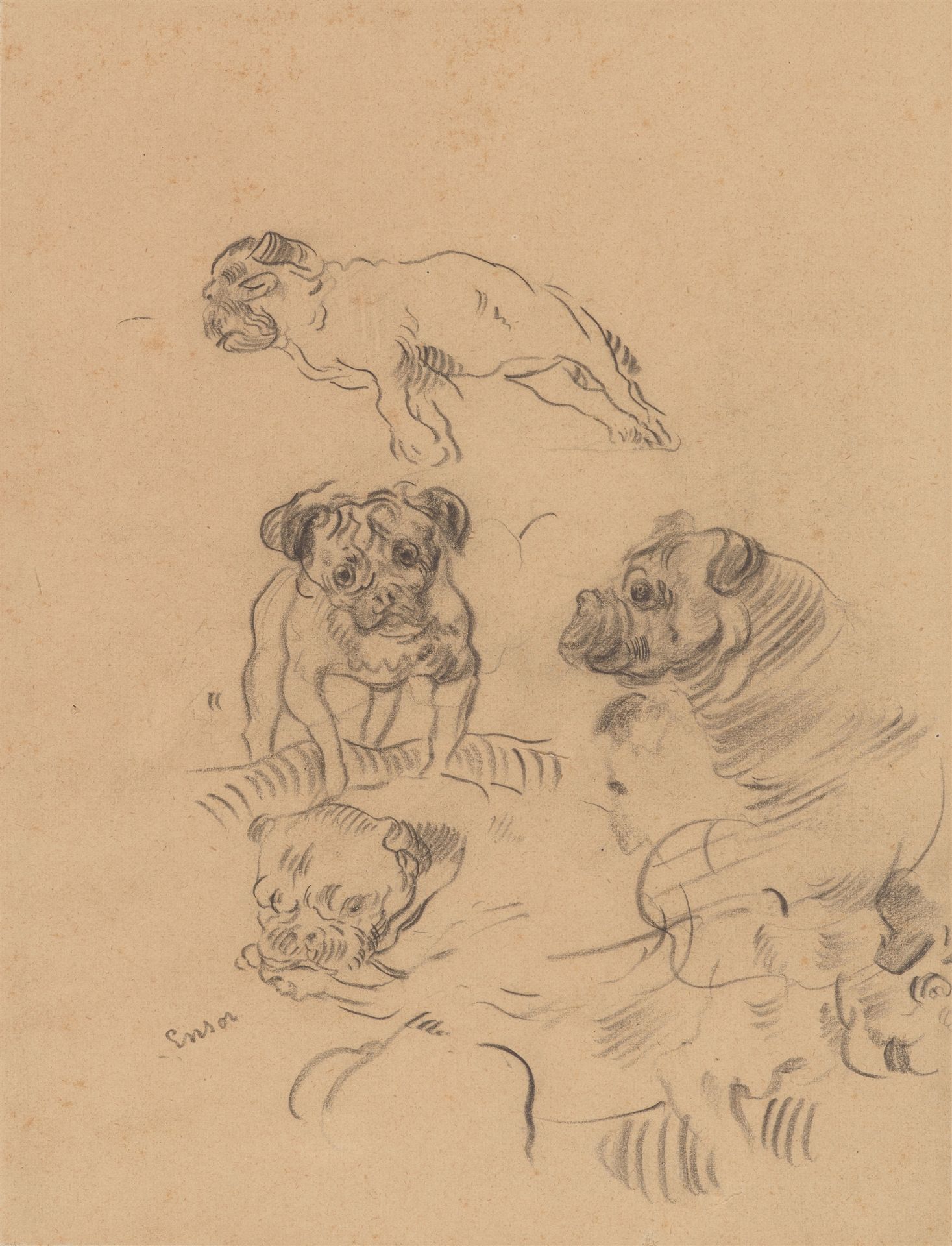 James Ensor, Etude de chiens