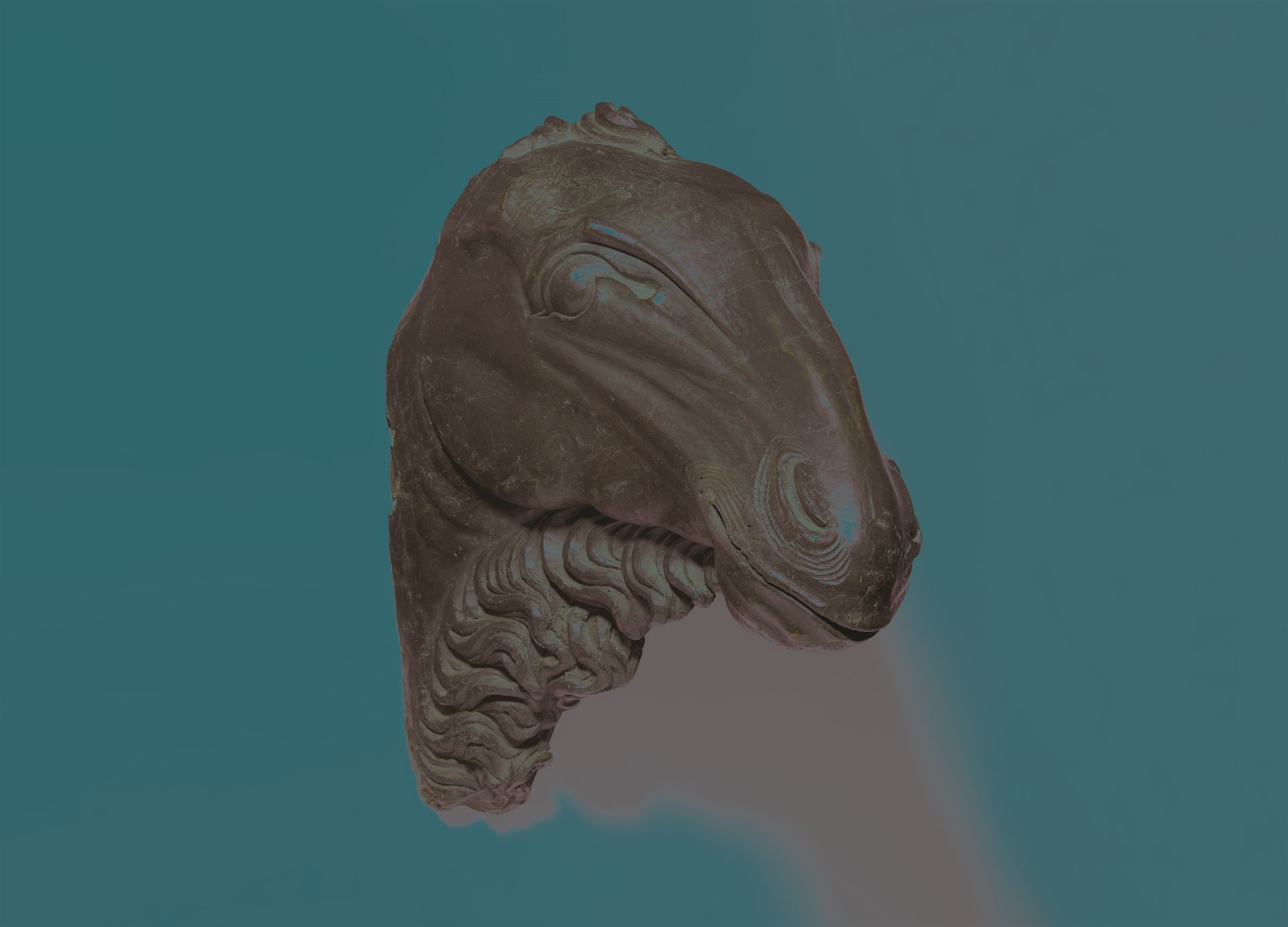 Kopf eines Kamels - Bild 2 aus 2