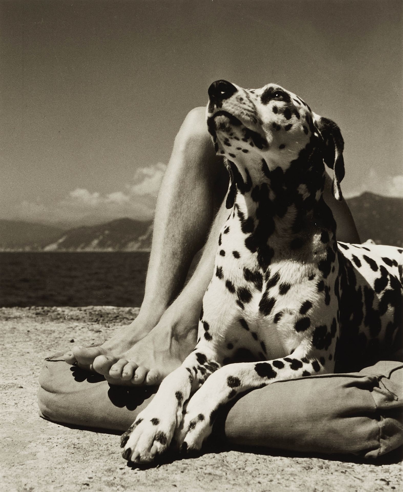 Herbert List, Master and Dog, Portofino