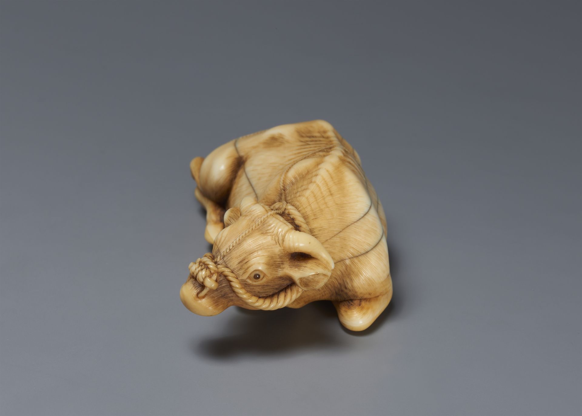 A fine ivory netsuke of an reclining ox. Late 18th century - Image 5 of 6