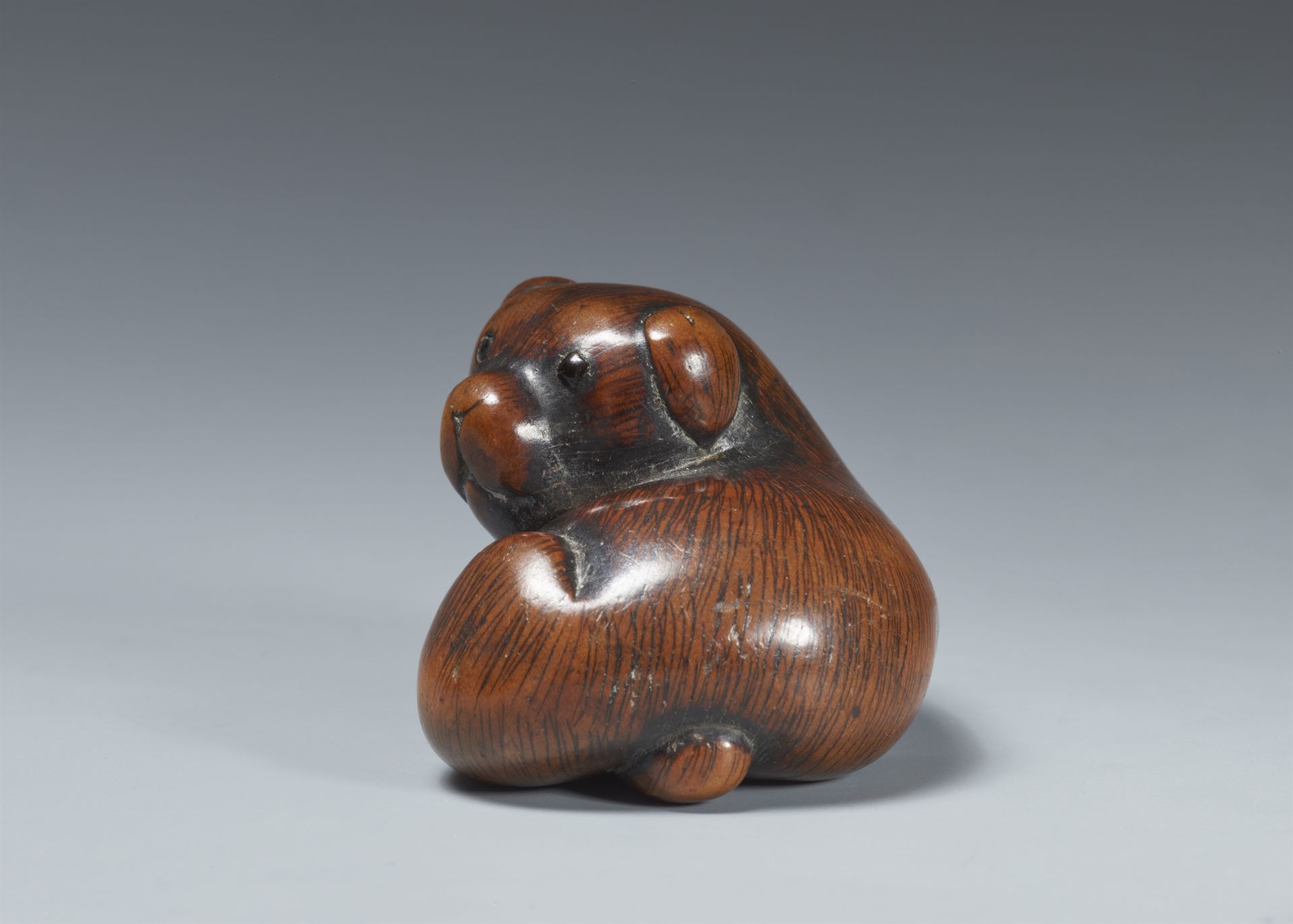 A large boxwood netsuke of a puppy. Early 19th century - Image 4 of 4