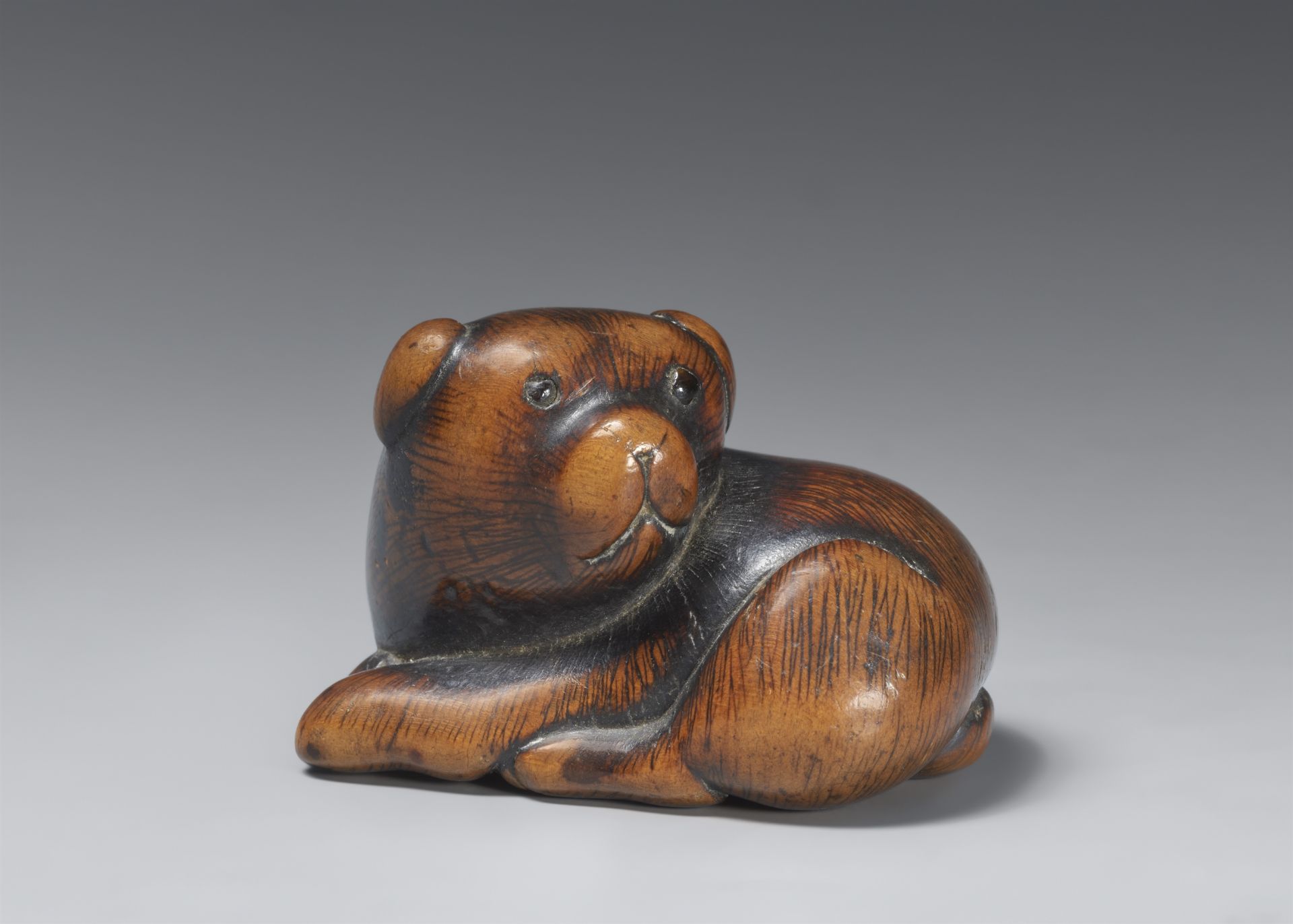 A large boxwood netsuke of a puppy. Early 19th century