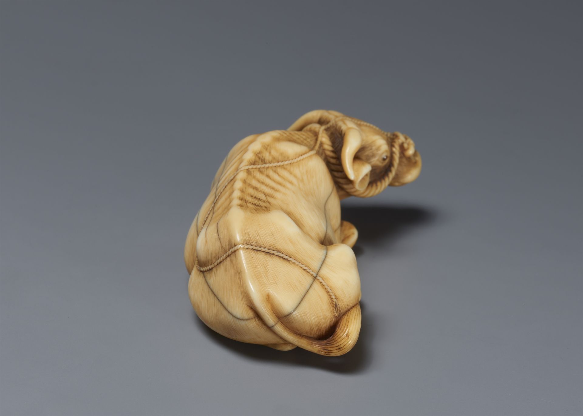 A fine ivory netsuke of an reclining ox. Late 18th century - Image 4 of 6