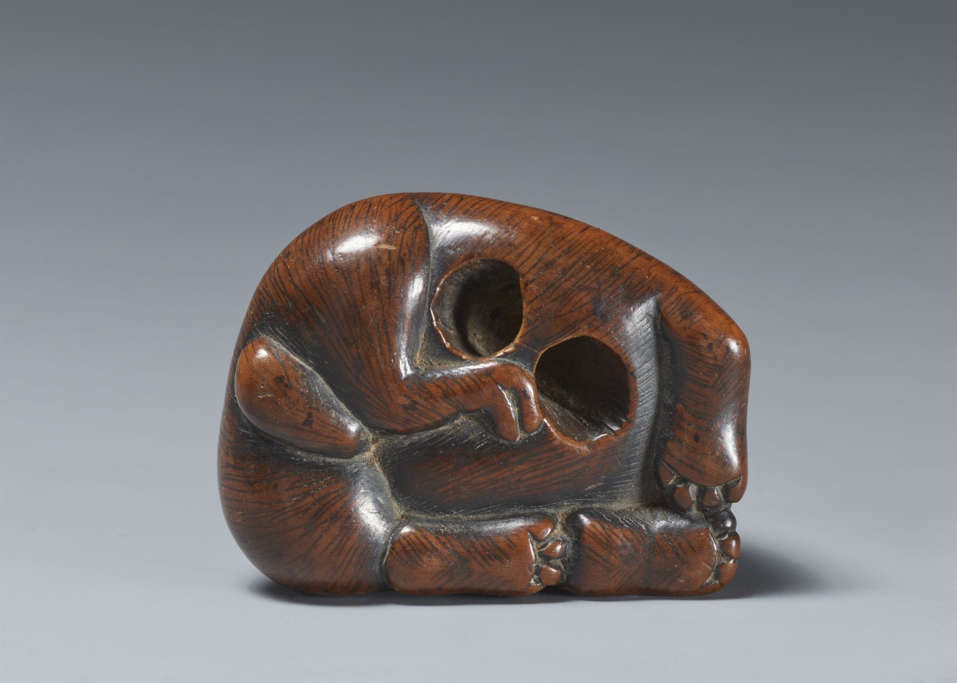 A large boxwood netsuke of a puppy. Early 19th century - Image 2 of 4