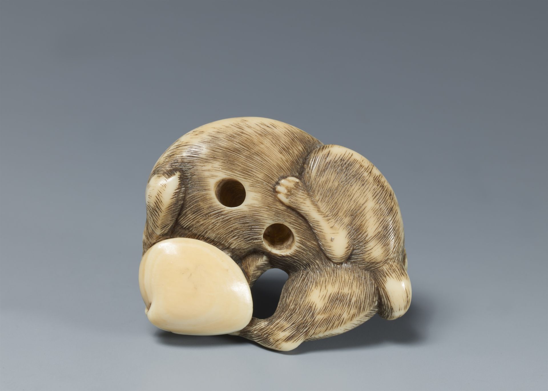 An ivory netsuke of a young dog with a clam. 19th century - Image 2 of 5