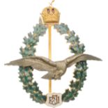 Field Pilot Badge