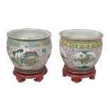 Pair of large porcelain fish bowls. China. 19th century.