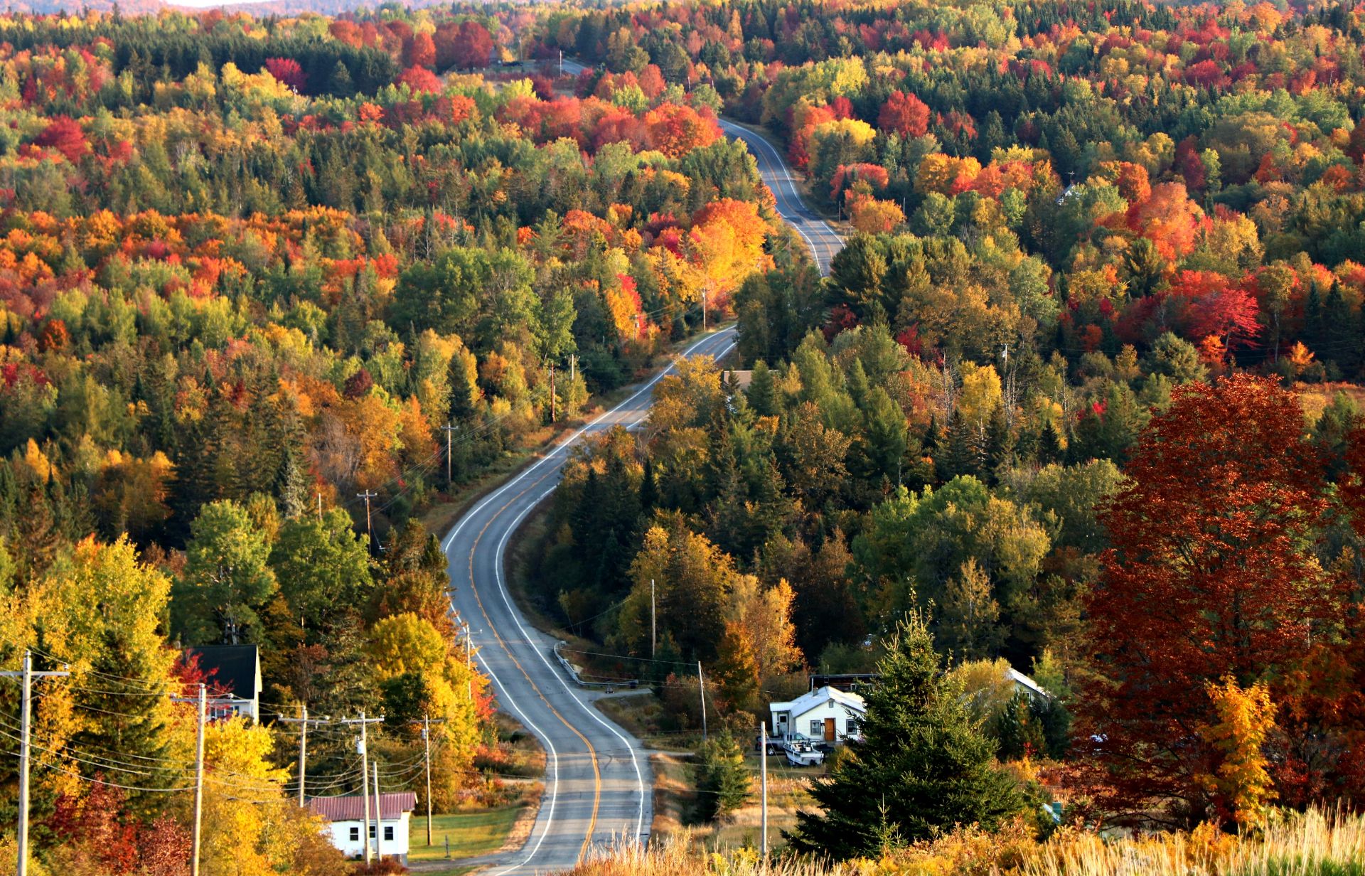 Build Your Dream Getaway on 18 Wooded Acres in Aroostook County, Maine! - Image 6 of 6