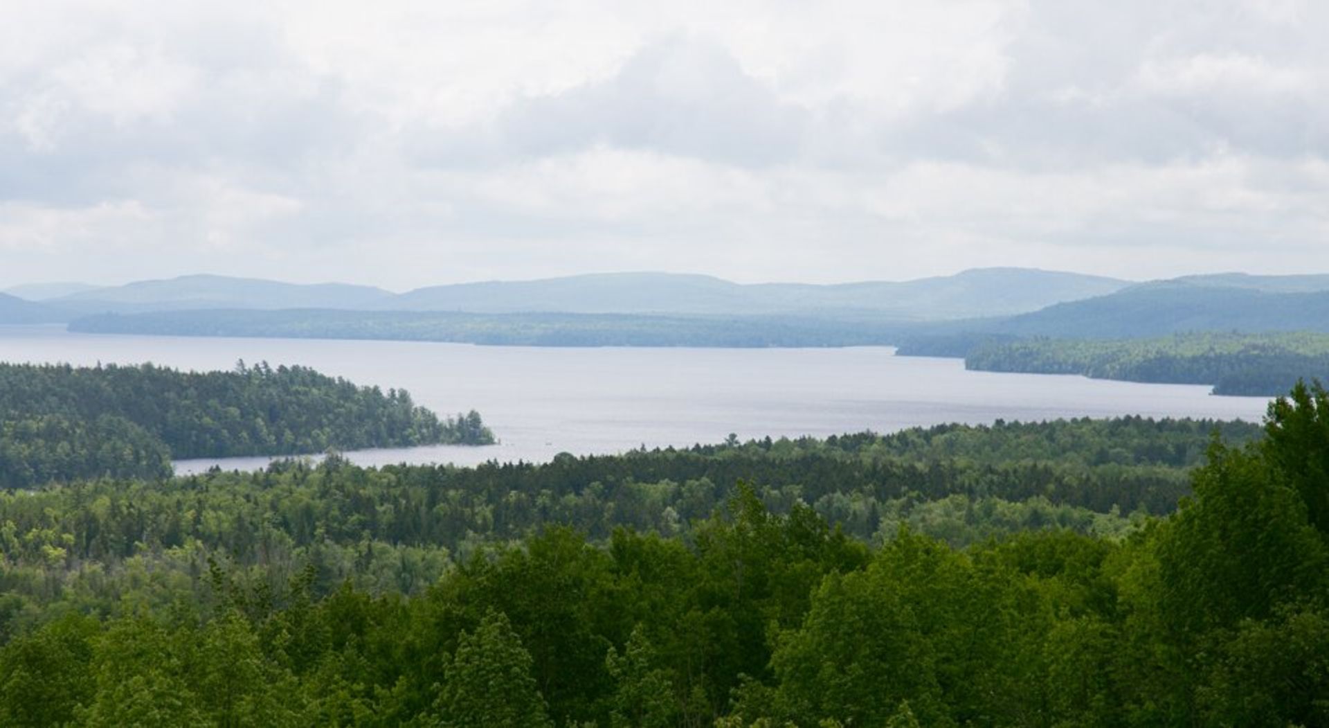 Build Your Dream Getaway on 18 Wooded Acres in Aroostook County, Maine! - Image 5 of 6