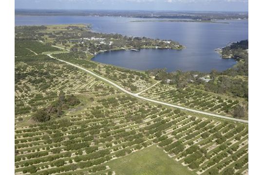 Over an Acre in Polk County, Florida! - Image 1 of 7