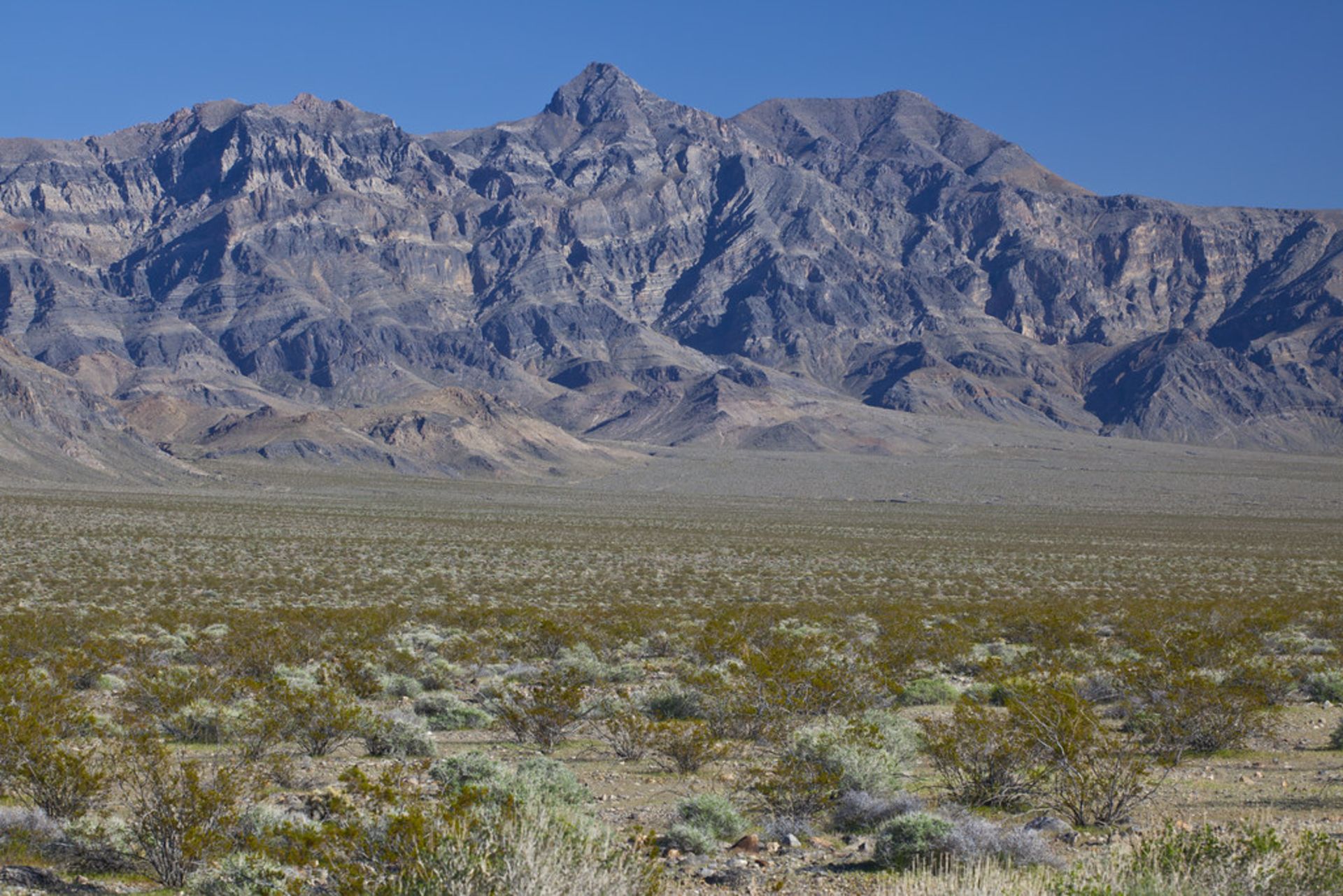 2.5 Acres in Inyo County, California!