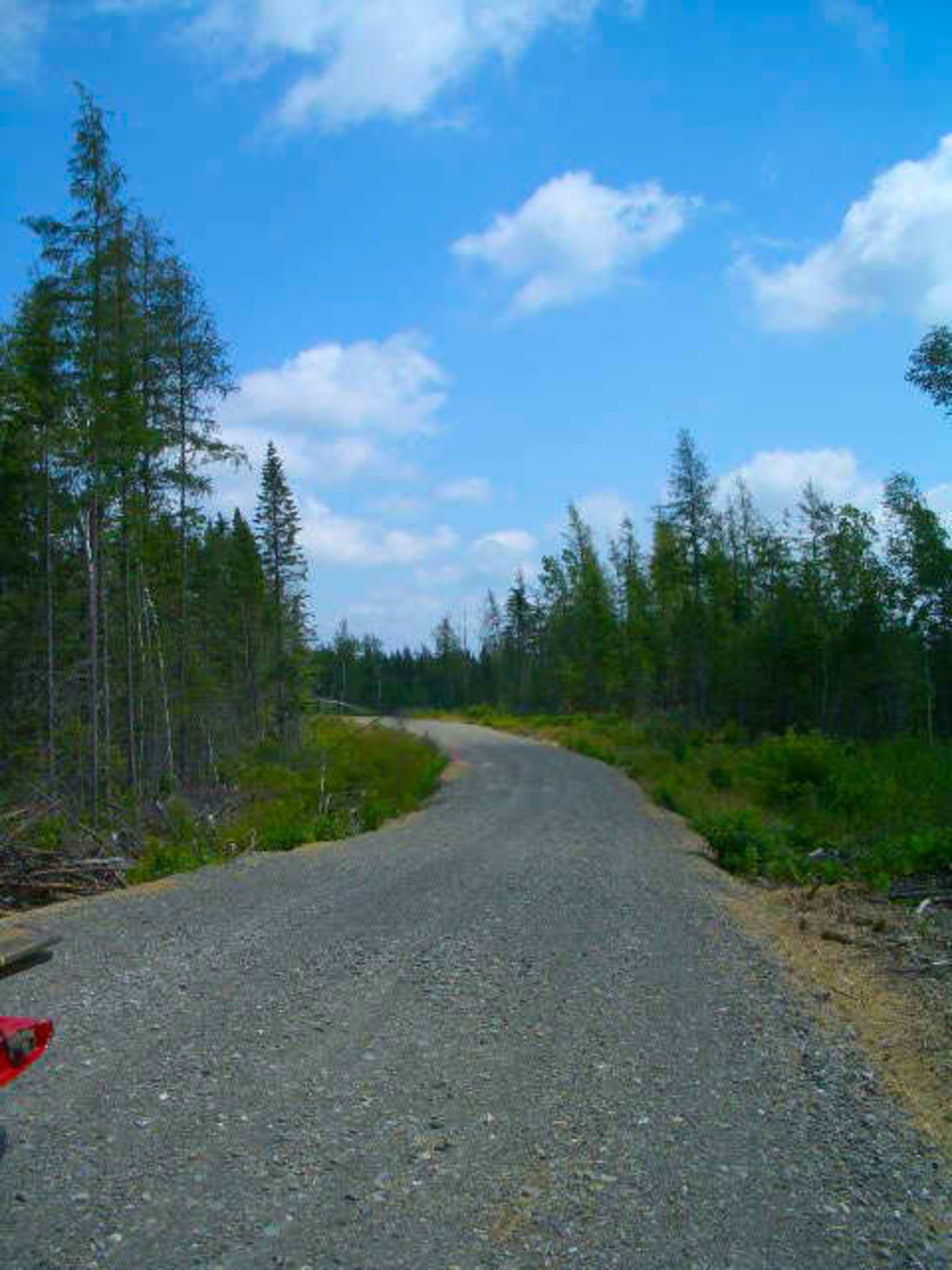 22 Wooded Acres in Aroostook County, Maine! - Image 3 of 10