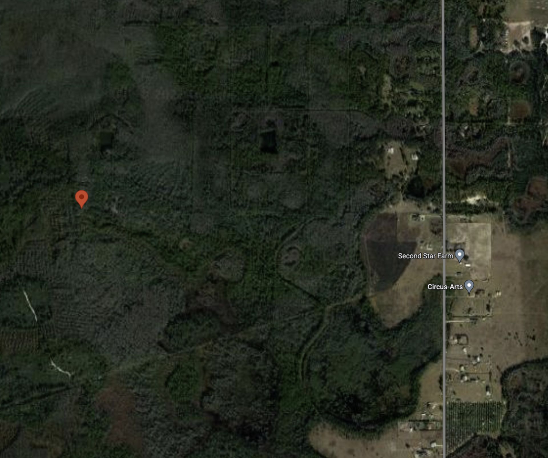 Almost One-Acre in Sunny, Polk County, Florida! - Image 6 of 9