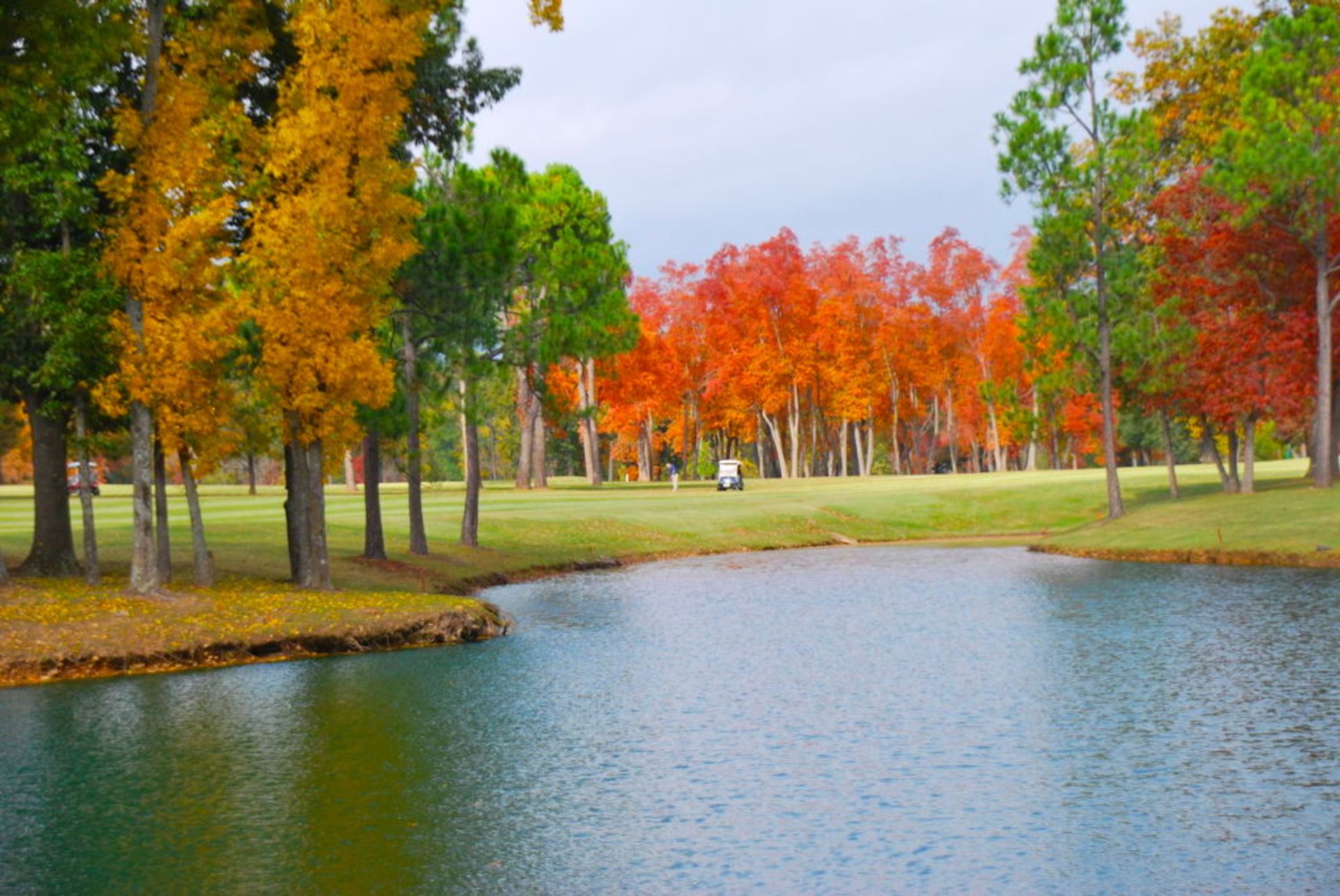 Beautiful Cherokee Village Lot Near the Arkansas Ozarks! - Image 9 of 9