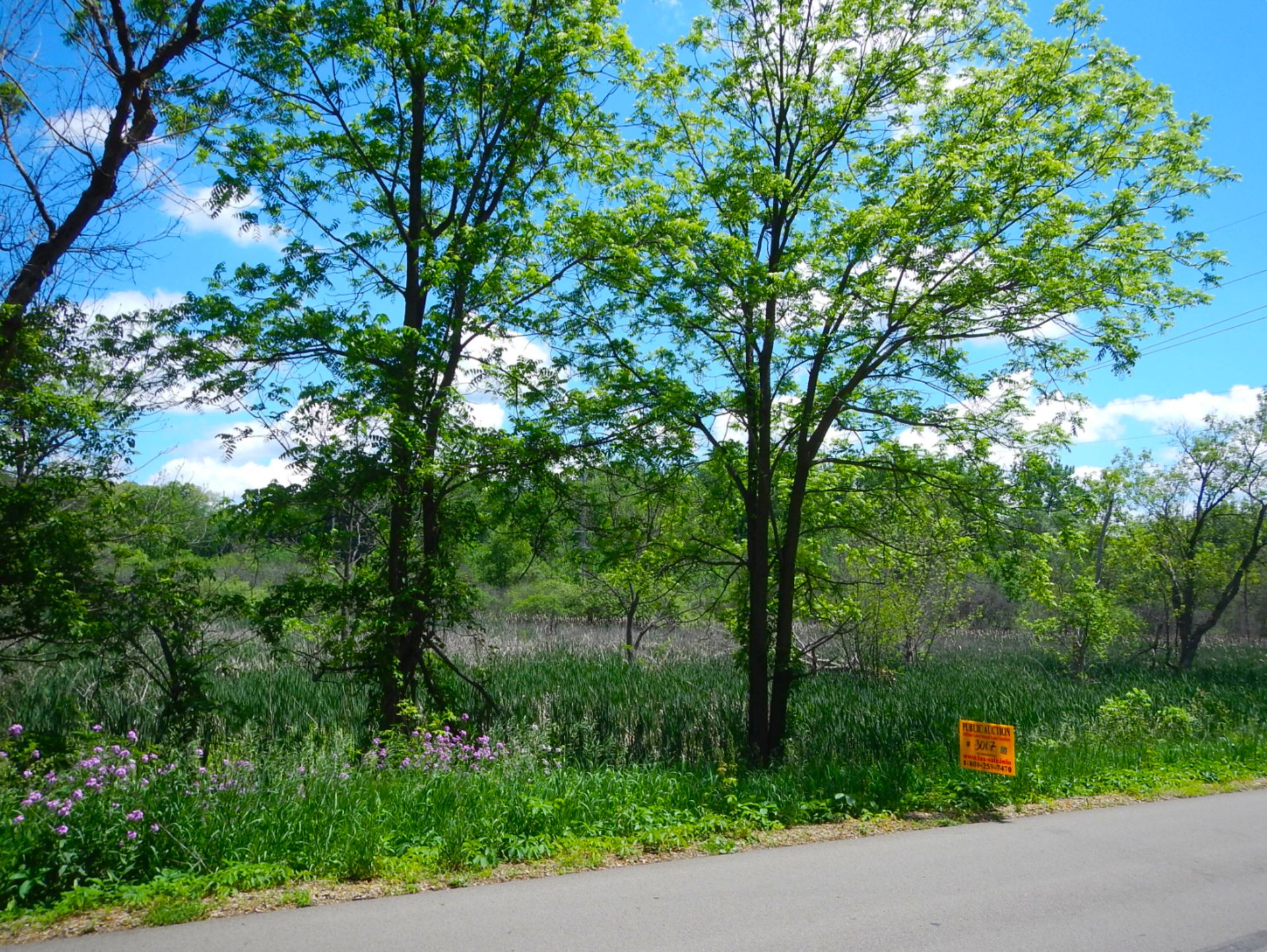 Land in South Central Michigan!