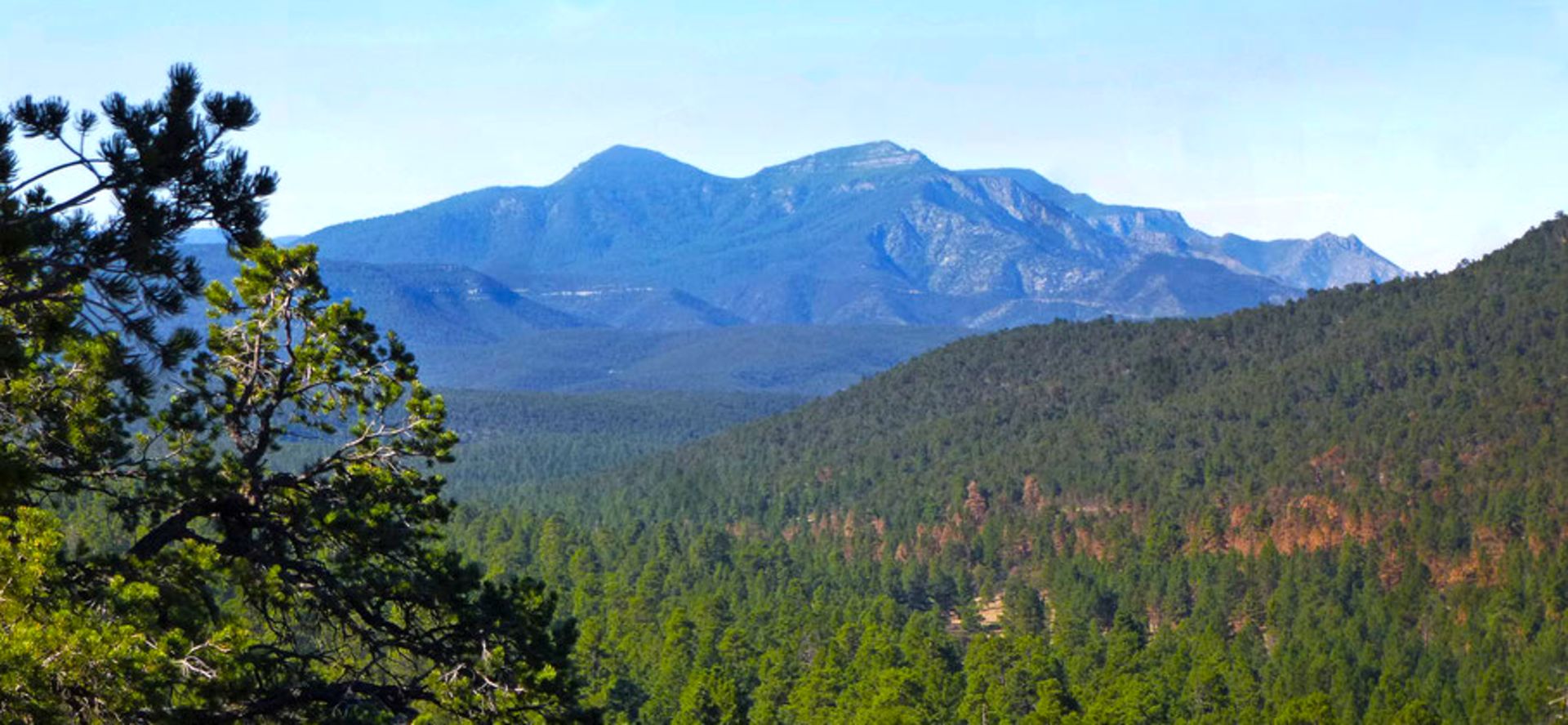 Over an Acre of Pine Forest in California Pines, Modoc County, California!