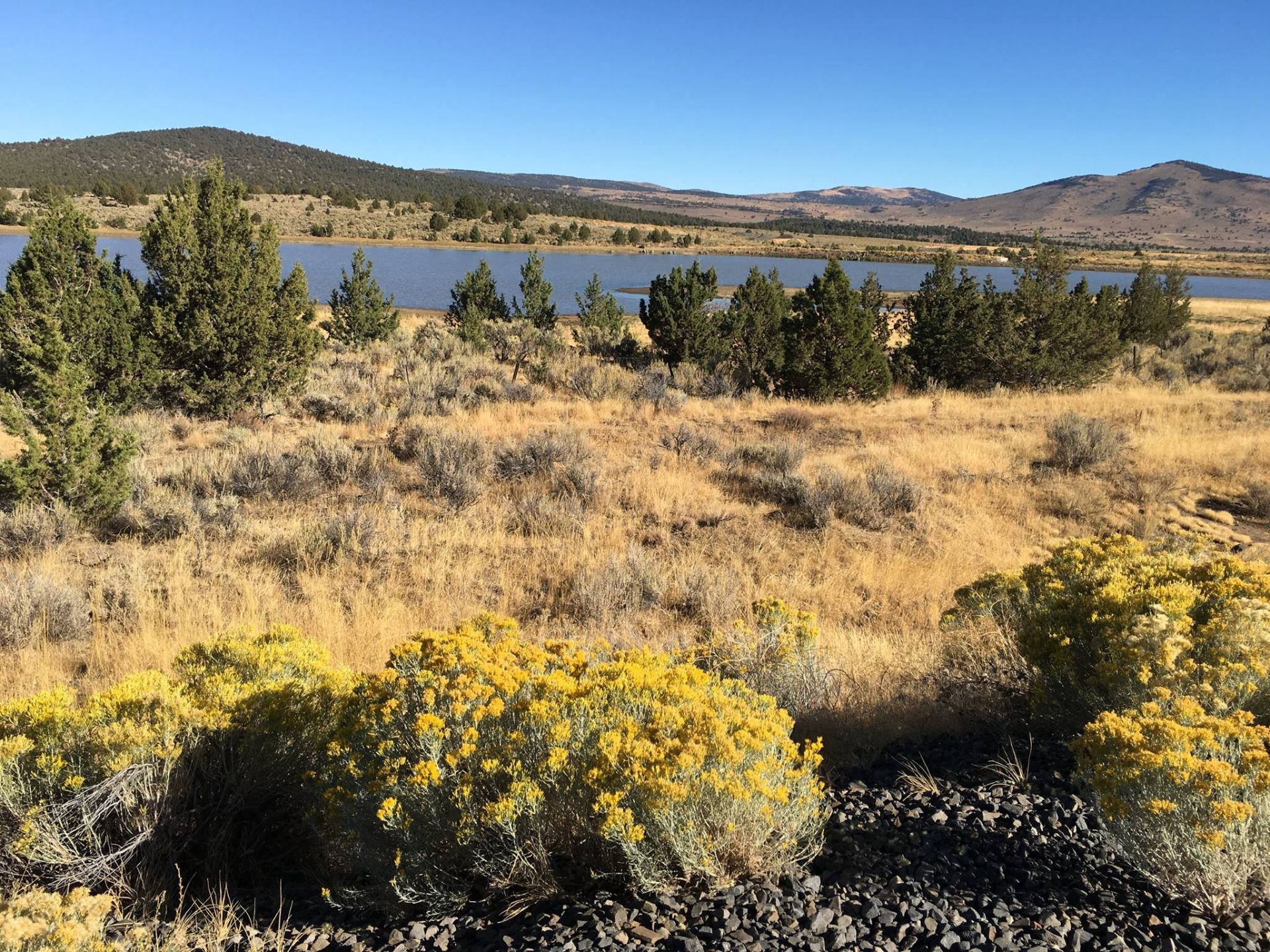 Escape the City to Beautiful Modoc County in Northeast California!