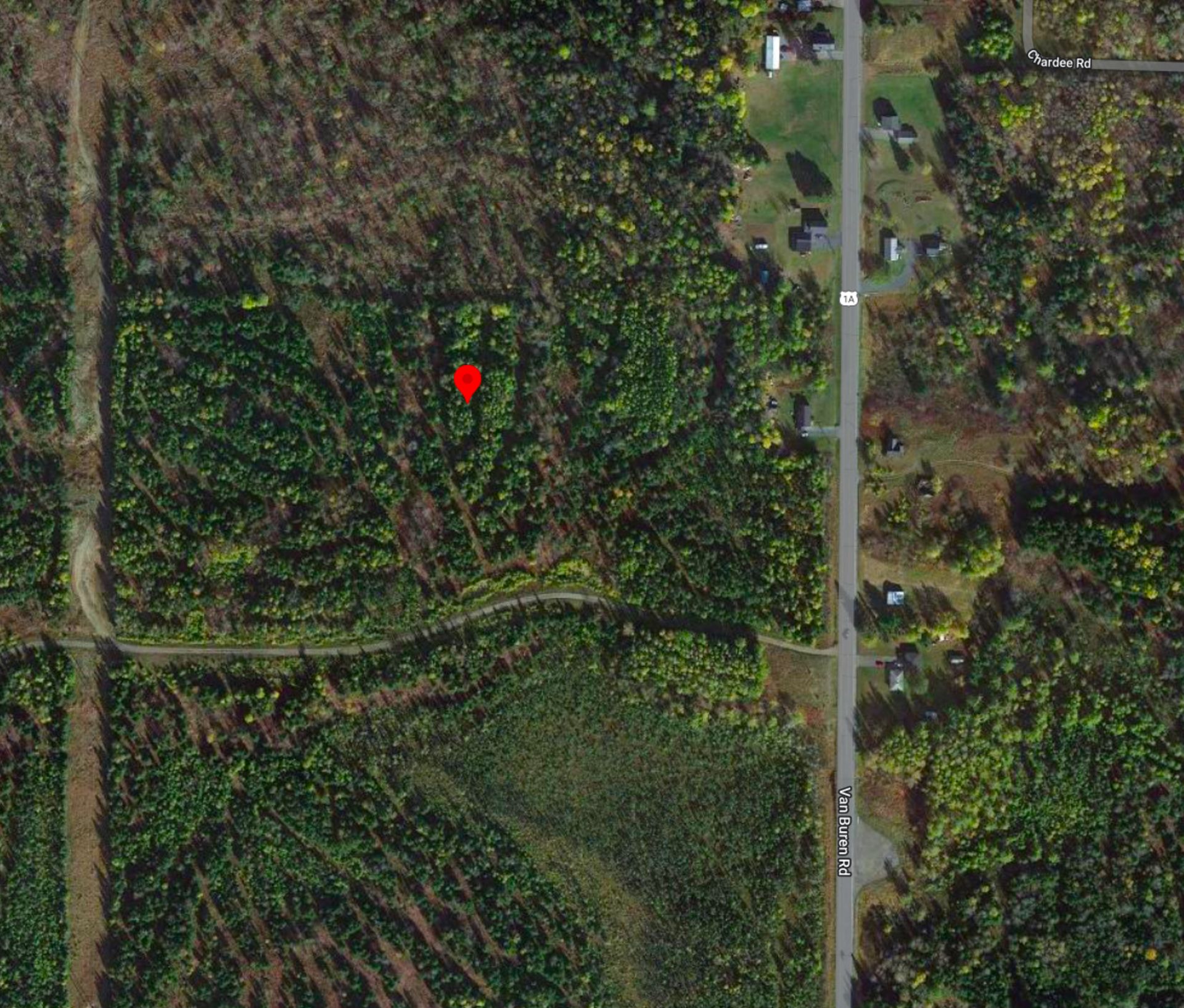22 Wooded Acres in Aroostook County, Maine! - Image 10 of 11